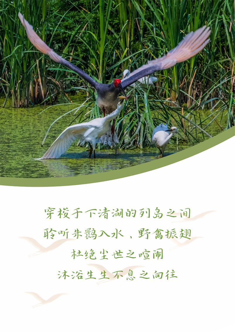 心心念廿 相伴东森 | 与德清相约 贺廿载诞辰